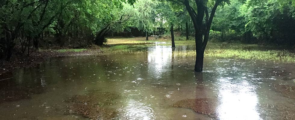 奥斯汀市的城市洪水将通过实施地下蓄水池系统来解决